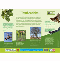 Konzept Baum des Jahres Pfad | Erlebnisführungen durch Natur und Landschaft rund um Marburg | Referenzen